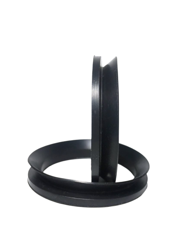 V Rings