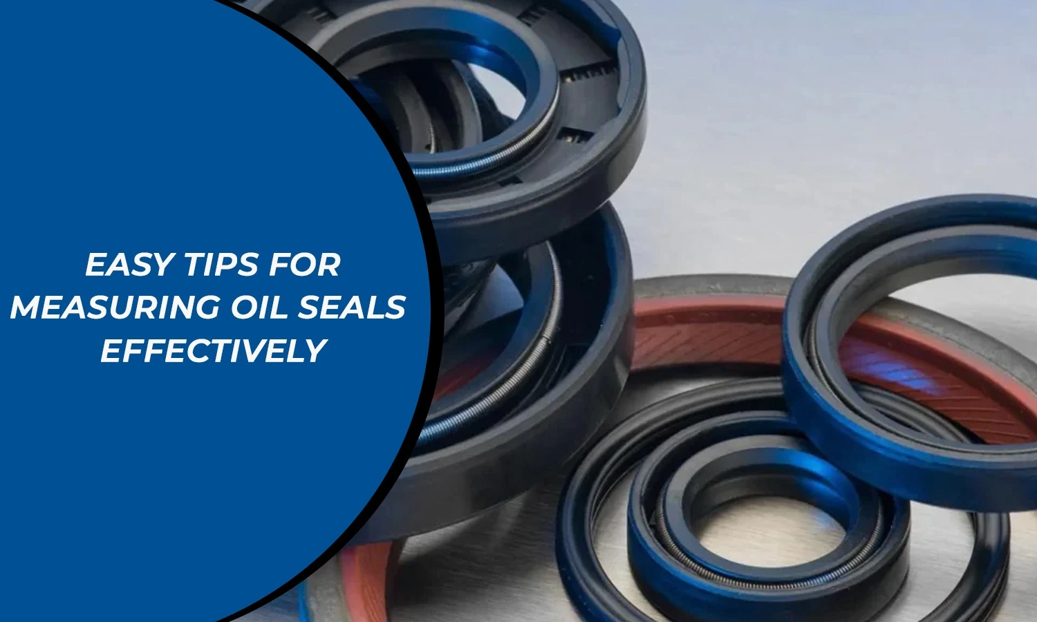 Measuring Oil Seals